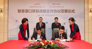 日照企业创奇迹 90天吞吐亿吨，信息服务助力利润突破4亿