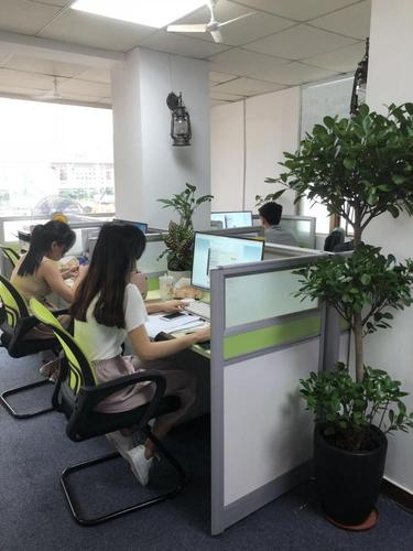 如何做好信息技术咨询服务？践行七点核心，真正赋能客户